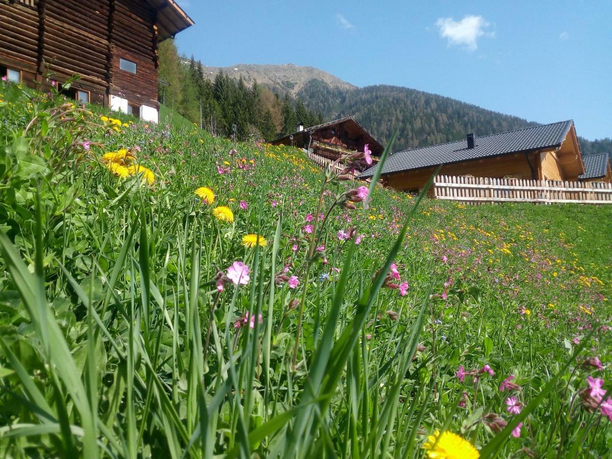 Chalet Niederhaushof San Nicolò d'San Nicolò d'Ultimo Eksteriør billede
