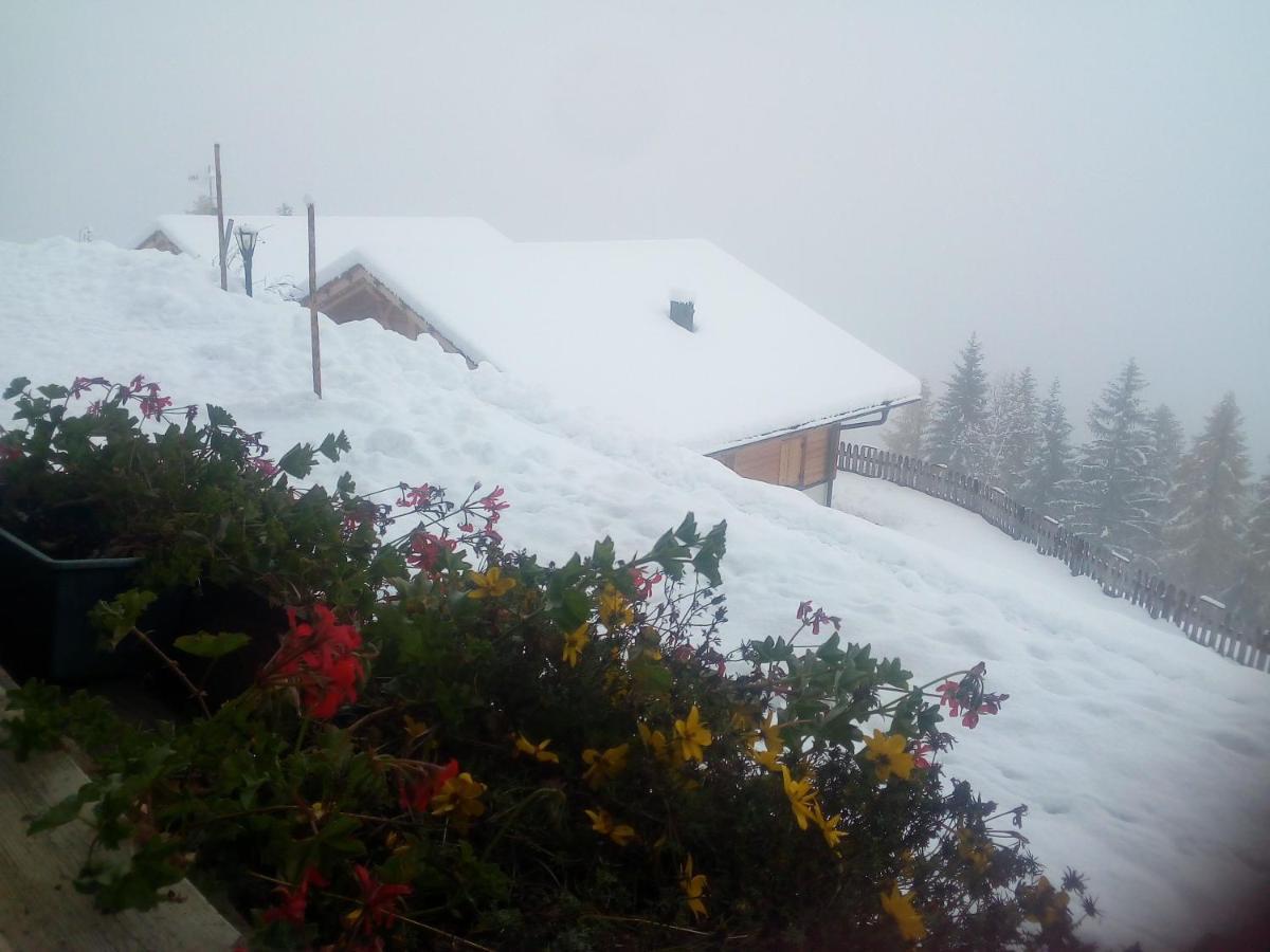 Chalet Niederhaushof San Nicolò d'San Nicolò d'Ultimo Eksteriør billede