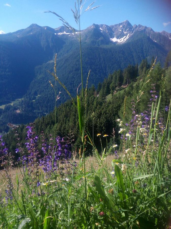 Chalet Niederhaushof San Nicolò d'San Nicolò d'Ultimo Eksteriør billede