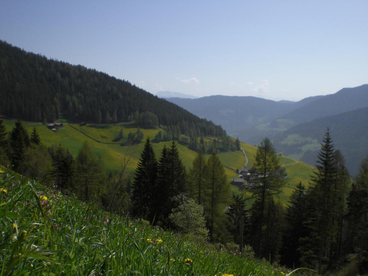 Chalet Niederhaushof San Nicolò d'San Nicolò d'Ultimo Eksteriør billede