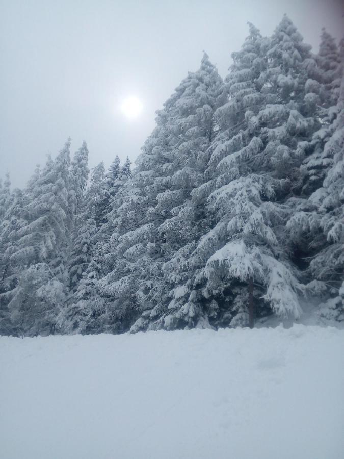 Chalet Niederhaushof San Nicolò d'San Nicolò d'Ultimo Eksteriør billede